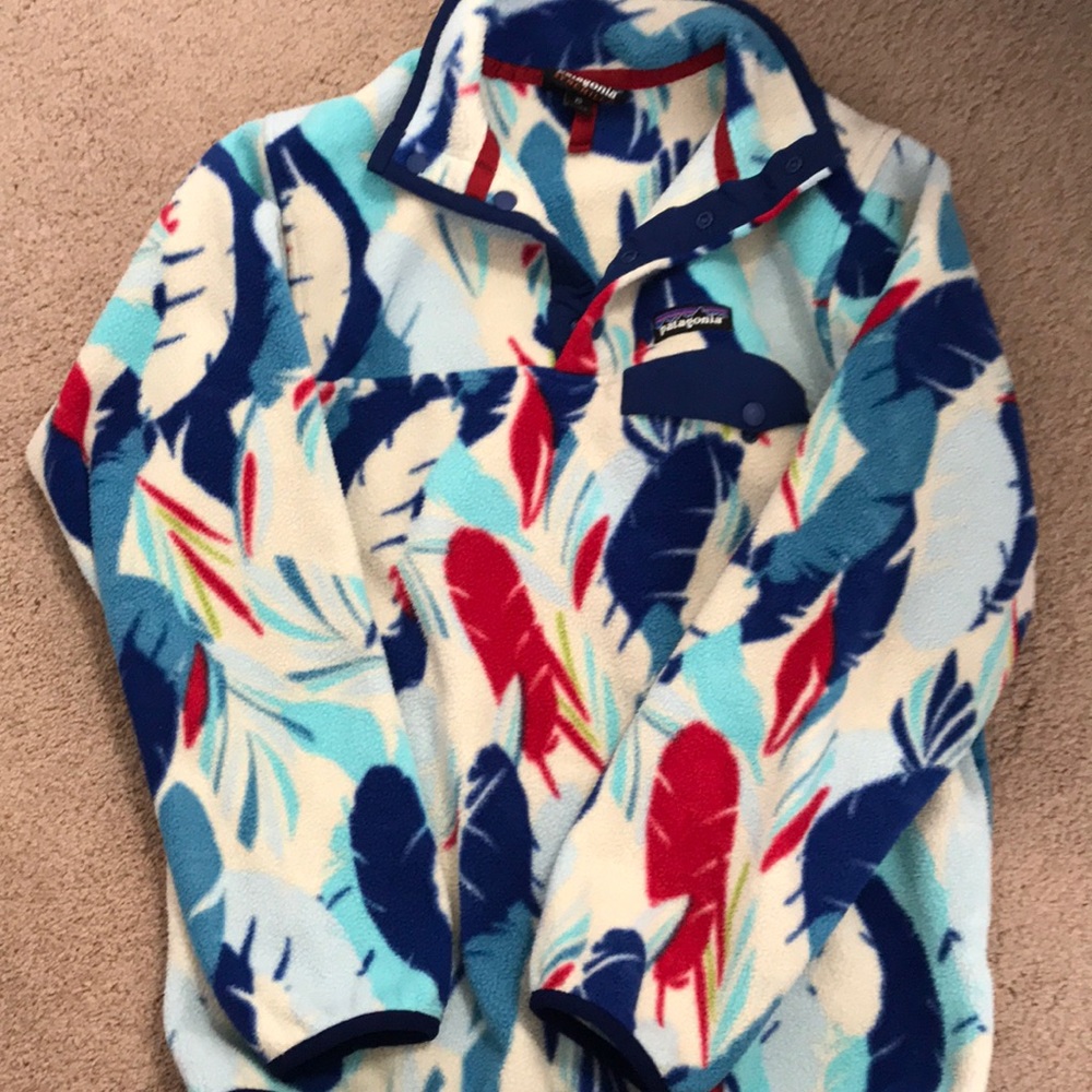 patagonia synchilla snap